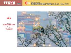 Chiều bên bến cảng