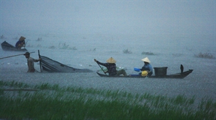 Suy thoái môi trường ở Cà Mau. (Giải Nhì Giải ảnh báo chí Khoảnh Khắc Vàng 03)
