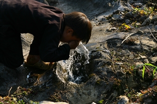 Tìm nước trong đá. (Giải Ba Nhóm ảnh - Giải ảnh báo chí Khoảnh Khắc Vàng 02)