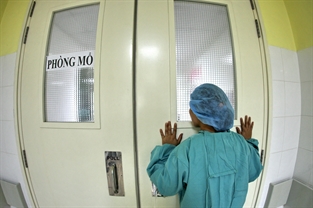 Trái tim cho em. (Giải Ba Nhóm ảnh - Giải ảnh báo chí Khoảnh Khắc Vàng 02)