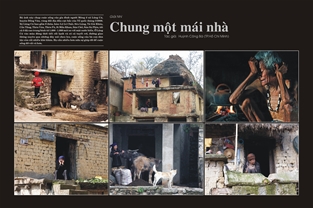 Chung một mái nhà.(Giải Nhì Nhóm ảnh Giải ảnh báo chí Khoảnh Khắc Vàng 01)