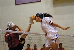 Công thủ toàn diện.