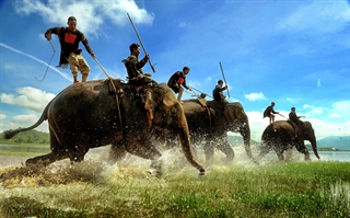 Hình ảnh được ghi lại trong Lễ hội đua voi truyền thống hằng năm được tổ chức tại vùng núi Tây nguyên.